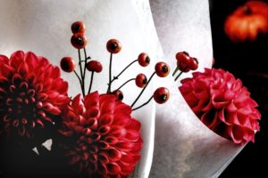 赤い花と実