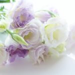 法事やお盆にお供えするお花の相場やマナー。バラはOK?