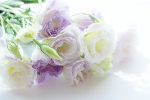 法事やお盆にお供えするお花の相場やマナー。バラはOK?