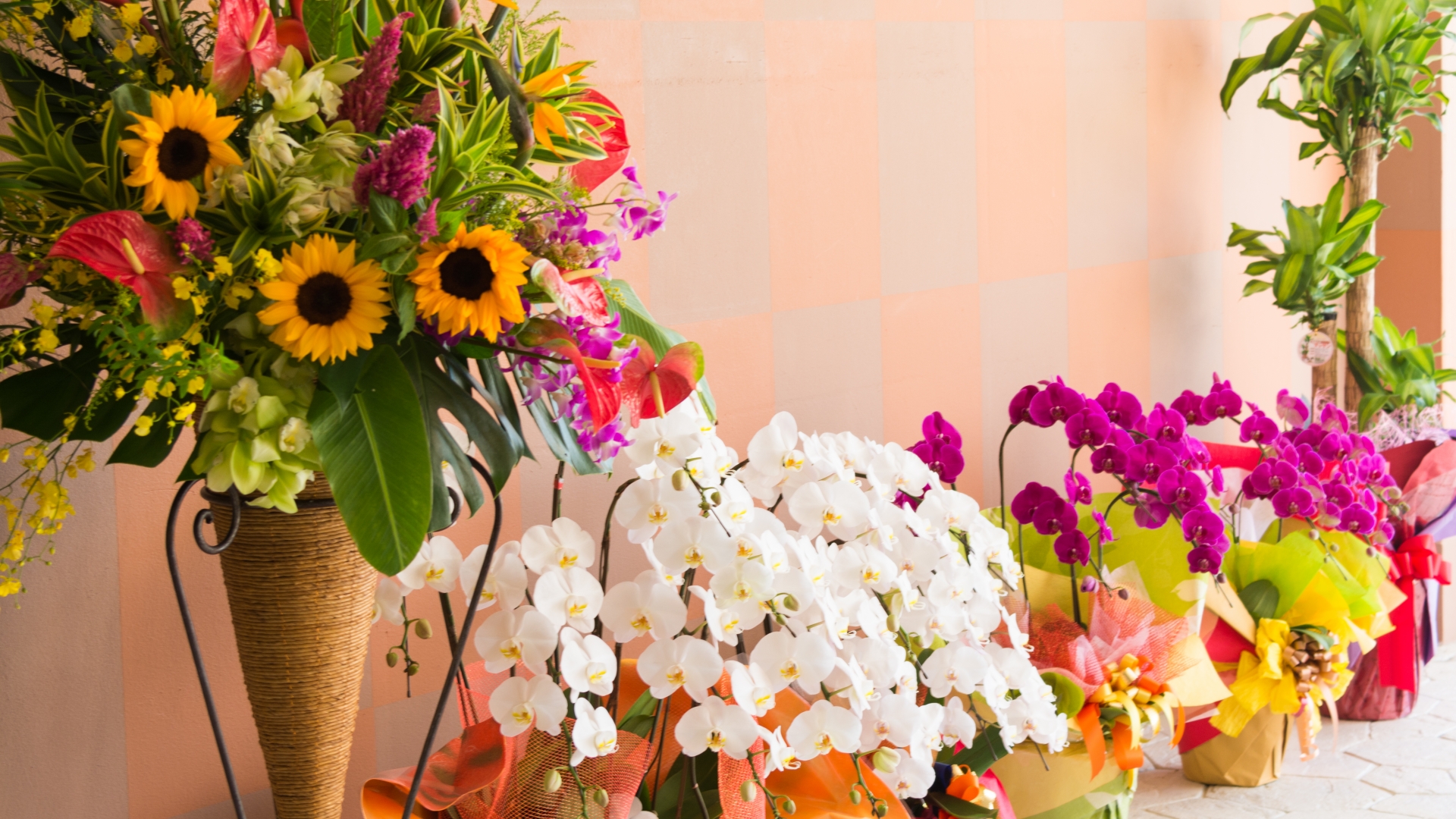 開店祝いはお花！アレンジメントやスタンド、おしゃれな観葉植物