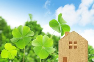 新築祝いにおすすめの花は？人気のアレンジメントやおしゃれな観葉植物