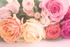 様々な色と形のピンクのバラ