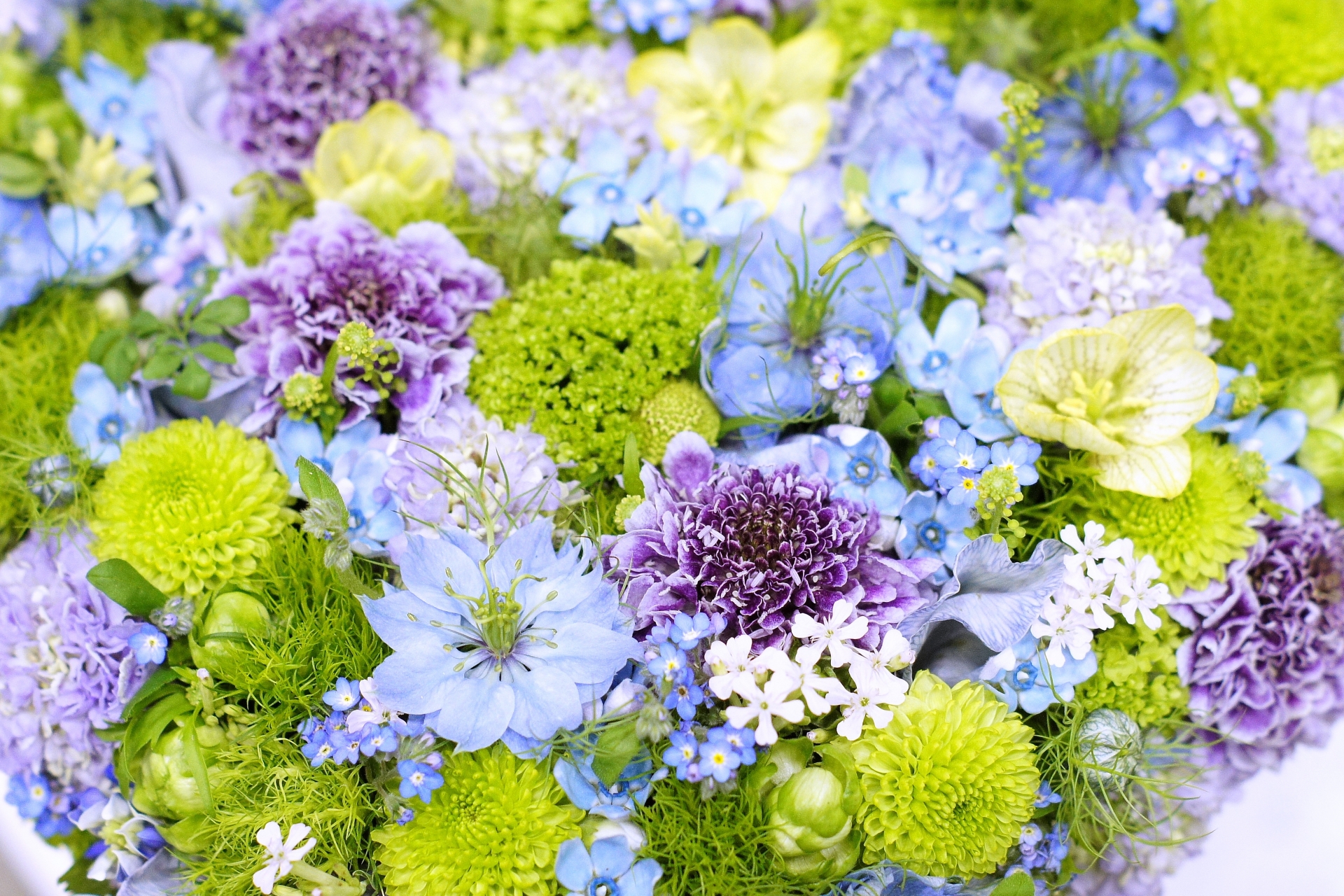 青い花って種類が少ない⁉お花の紹介と花束を注文する時の注意点 | お花選びのコンシェルジュ