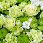 緑色のお花は実は種類が豊富です!