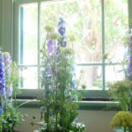 青い花って種類が少ない⁉お花の紹介と花束を注文する時の注意点
