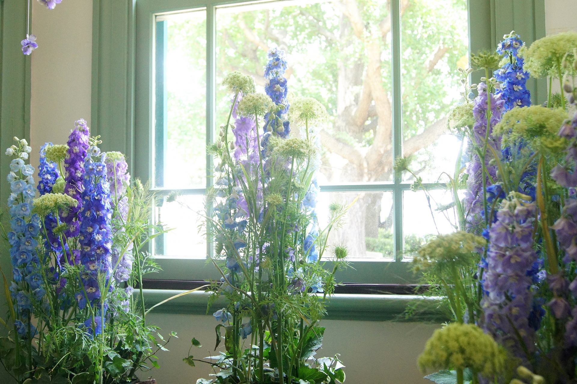 青い花って種類が少ない⁉お花の紹介と花束を注文する時の注意点