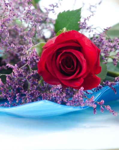 ハイブリッド・スターチスと赤いバラ