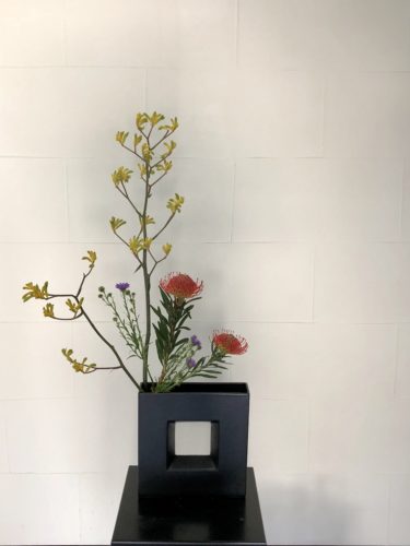 アスターを活ける