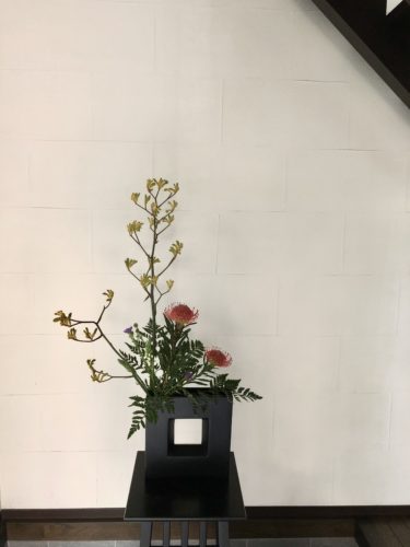 オニソガラムとレザーファンを活ける