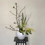 色々な原産地のお花を活ける