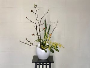 色々な原産地のお花を活ける