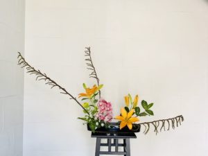 お花が咲いた！ユリが開いたので活け替える