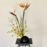 インパクトのある花材には?