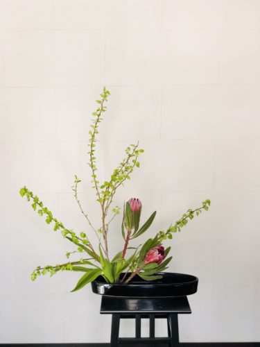 ドラセナを活ける