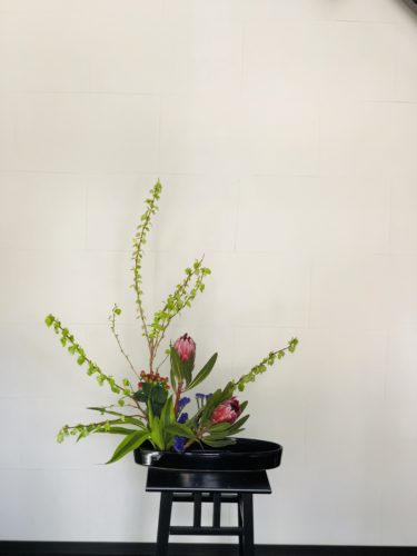 スターチスを活ける