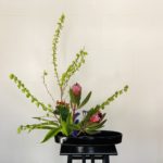 存在感のあるプロテアをメインにした生け花