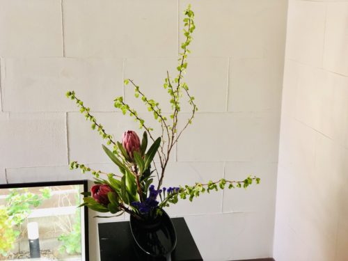 横から見たところ