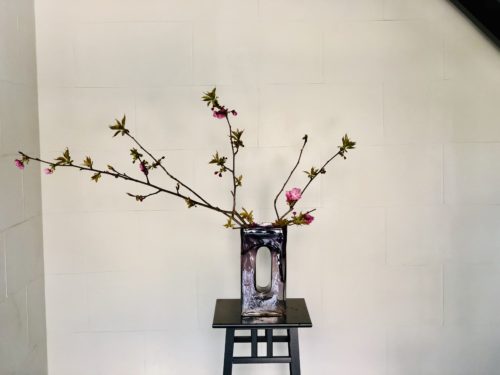 関山桜を活ける
