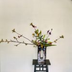 遅咲きの桜、関山桜を使用した生け花