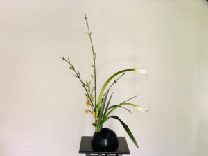 初夏のさわやかな色合わせ。カラーがメインの生け花。