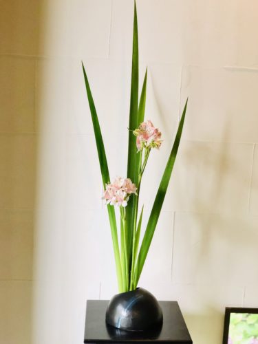 アルストロメリアを活ける