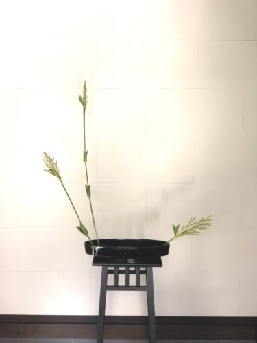 ソルゴーを活ける