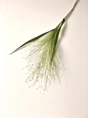 スモークグラス