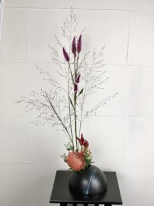 質感の面白いお花