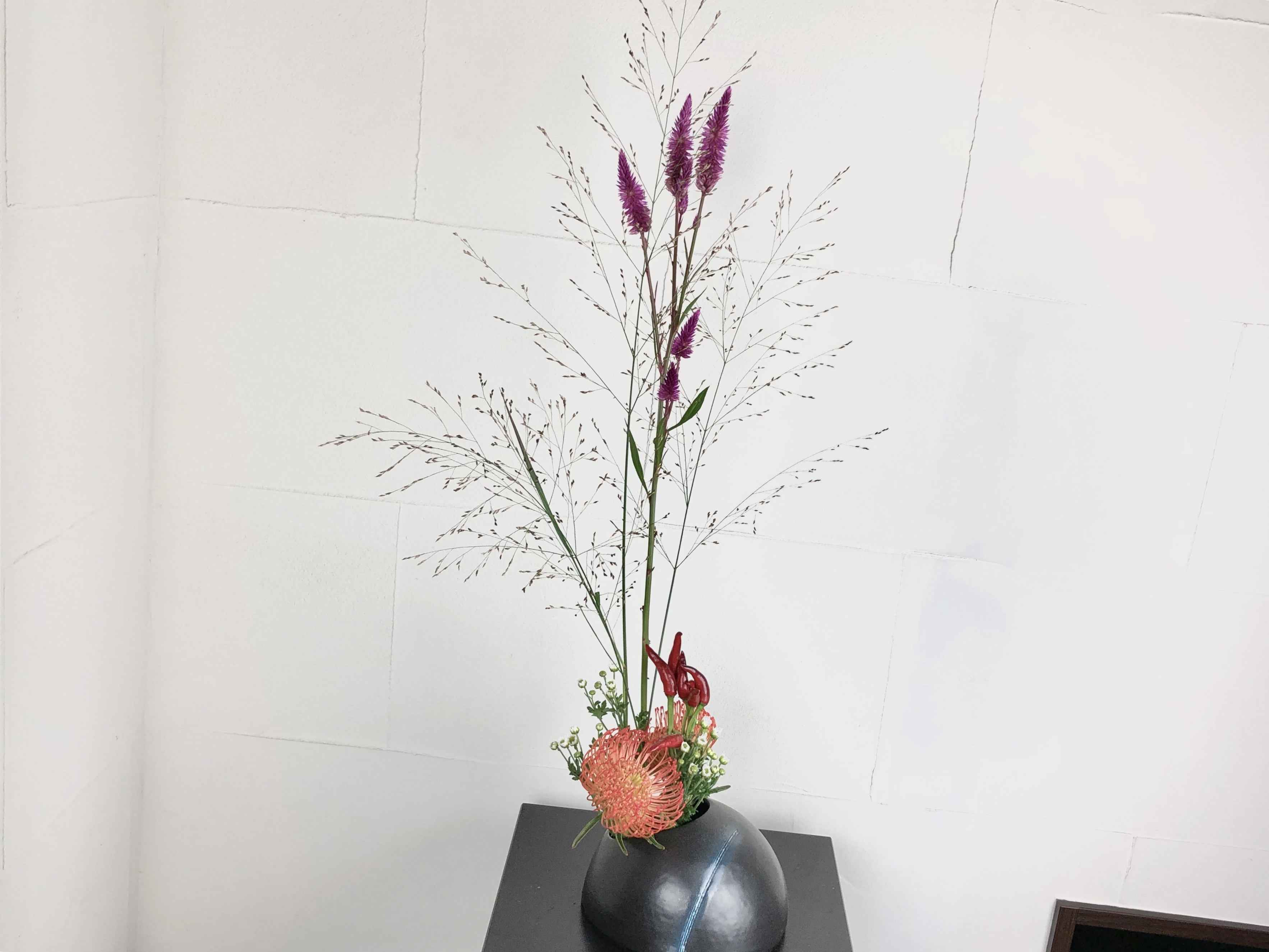 質感の面白いお花