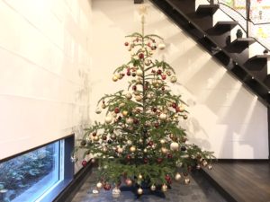 IKEAのもみの木でクリスマスツリー　2020年の発売日は？