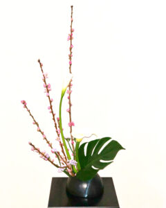 ひな祭りには是非!桃の花の飾り方を解説します