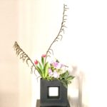 今週のお花の定期便。チューリップ・スイトピーの春らしい配色の生け花