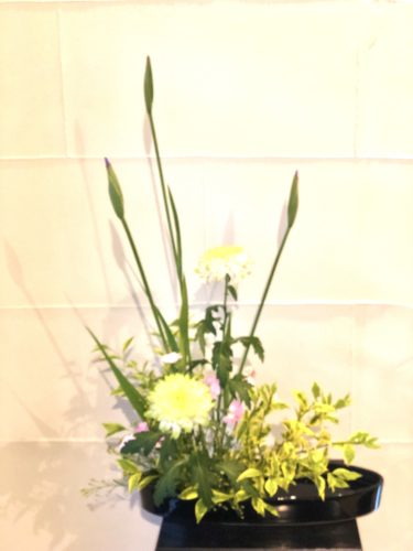 花菖蒲　2番目のお花