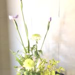 花菖蒲は2回咲く?2番花の咲かせ方