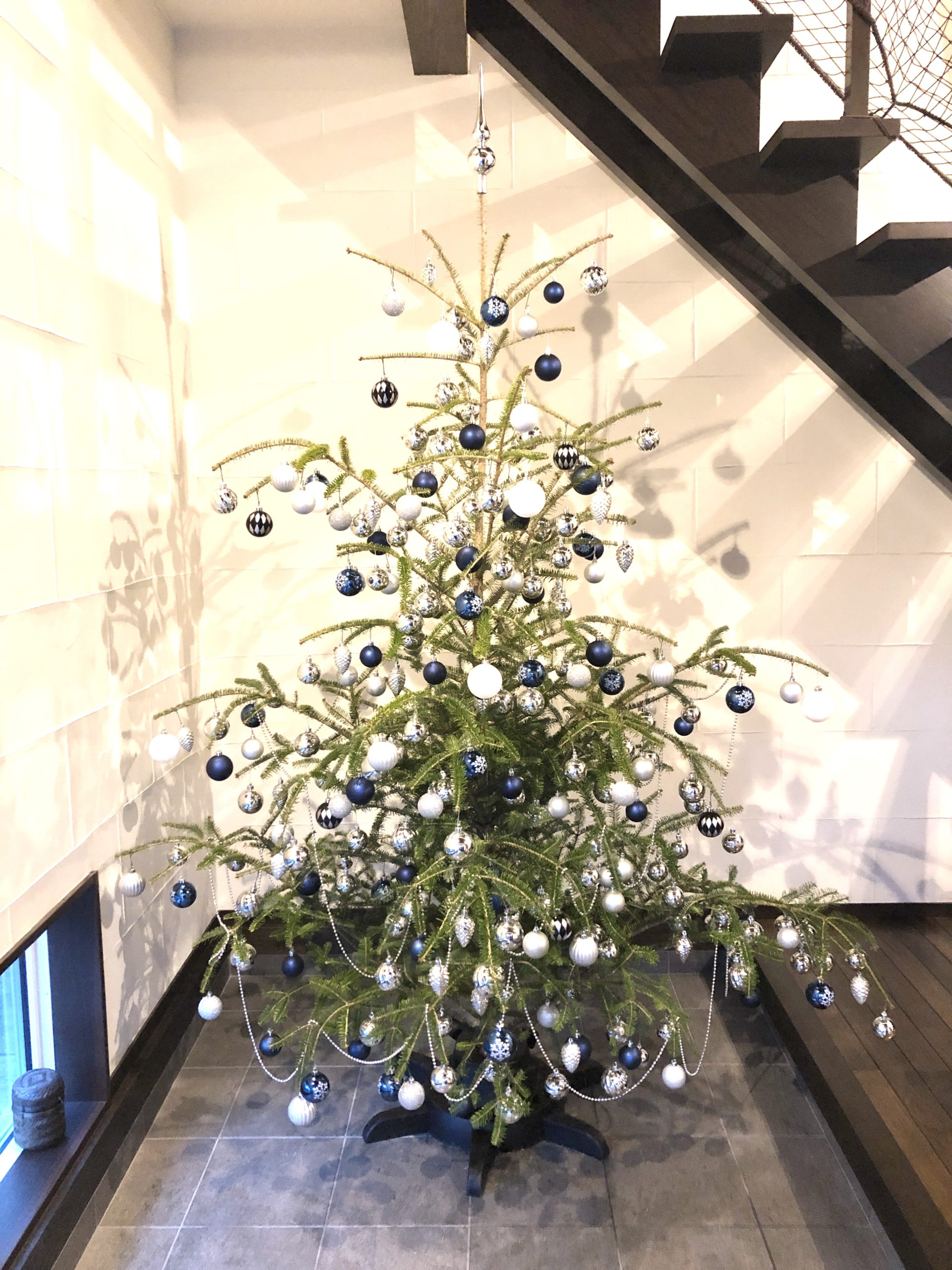 IKEAのもみの木でクリスマスツリー。2021年の発売日は？