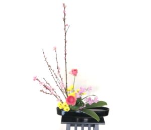 桃の花の生け花 盛花編 ひなまつりには桃のお花を飾ってみよう