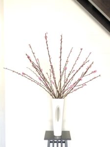 ひな祭りの生け花。桃の花の1種いけ。