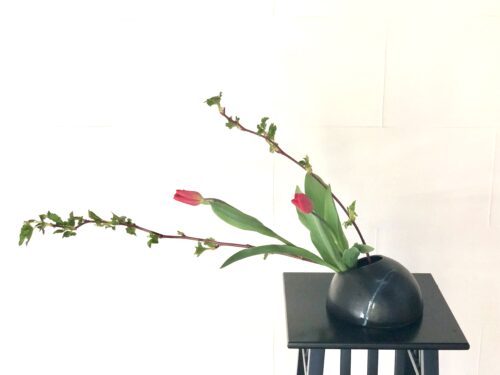 木苺とチューリップを入れる