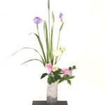 花菖蒲　2番花の咲かせ方