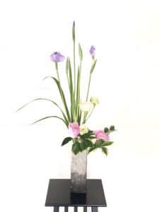 花菖蒲　2番花の咲かせ方