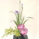 今シーズン2度目の花菖蒲の生け花