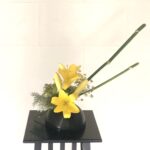 ウイキョウの生け花 茎とお花を別々に活ける