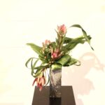 夏の定番 ネイティブフラワーの生け花