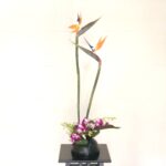 ストレリチアの生け花 主張の強さの異なるお花の活け方