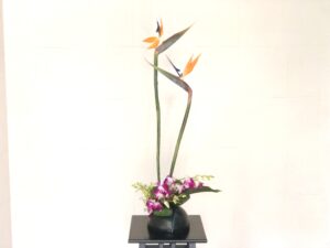 ストレリチアの生け花 主張の強さの異なるお花の活け方