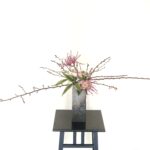 寒桜の生け花