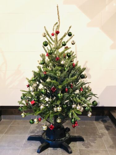 IKEAの本物のモミの木でクリスマスツリー【2021年版】 飾り方や 