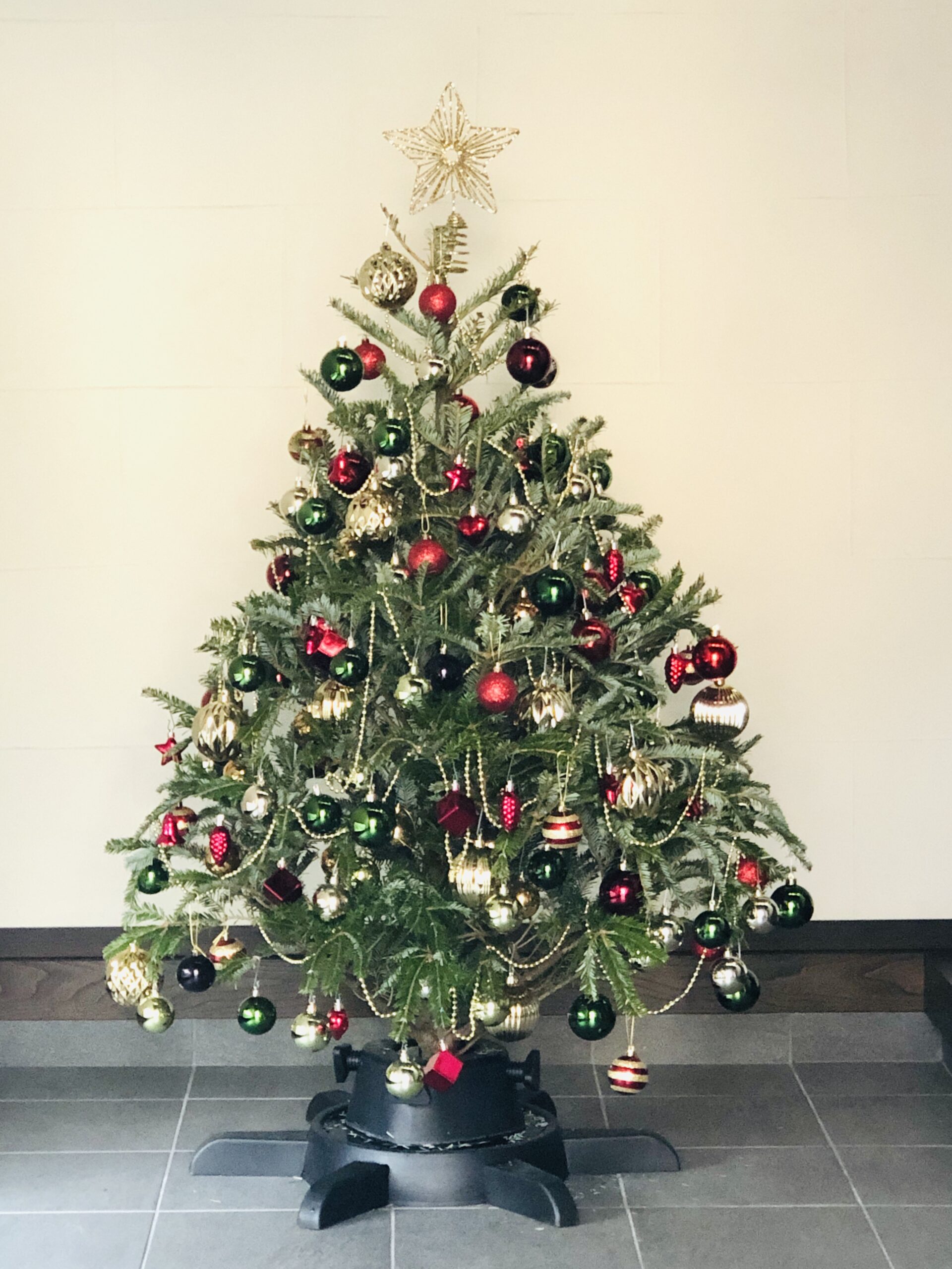 IKEAの本物のモミの木でクリスマスツリー【2021年版】　飾り方やオーナメントを紹介
