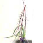 クリスマスっぽい生け花 サンゴミズキを使って