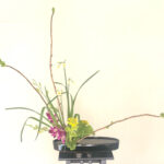 春を待つ、水仙と菜の花の生け花